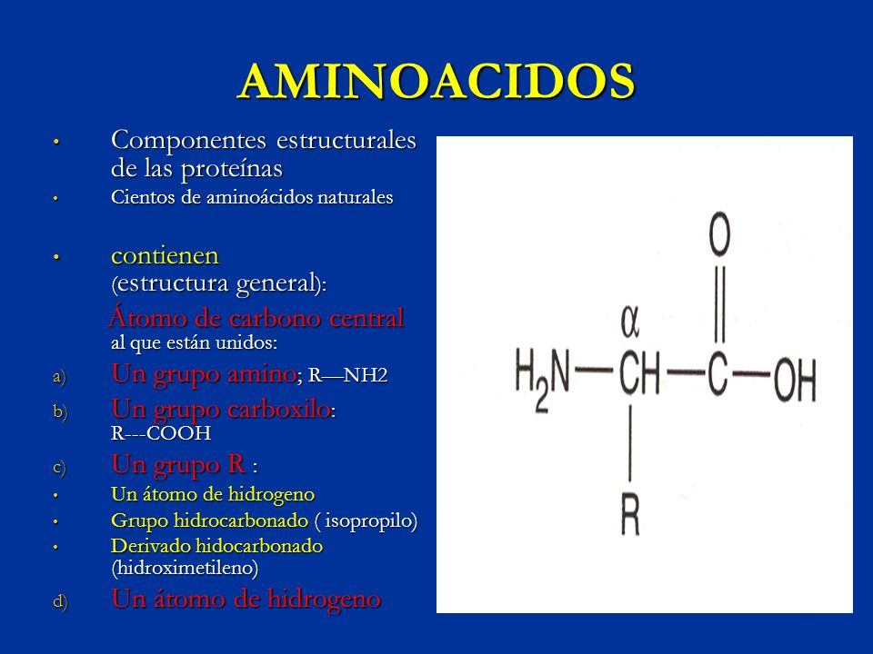 Puentes disulfuro entre amino acidos para adelgazar